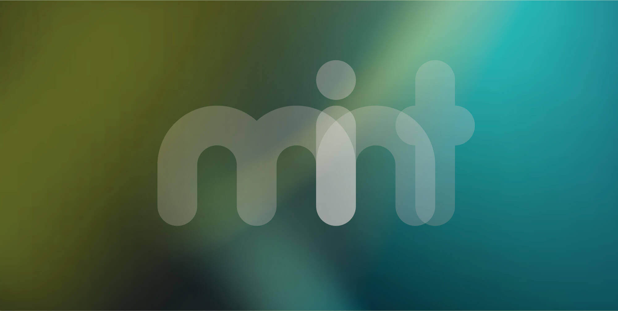 Logo MINT Region Heilbronn
