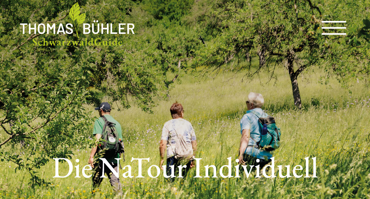 Website Thomas Bühler