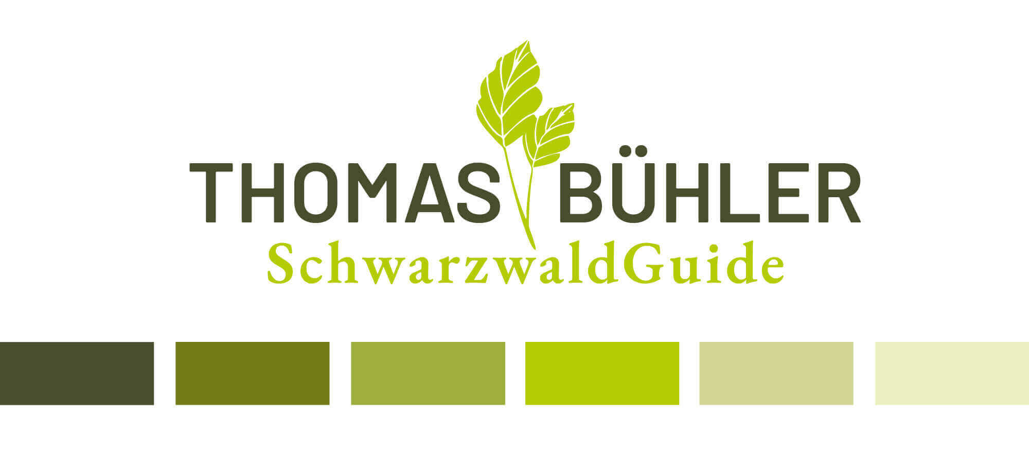 Website Thomas Bühler