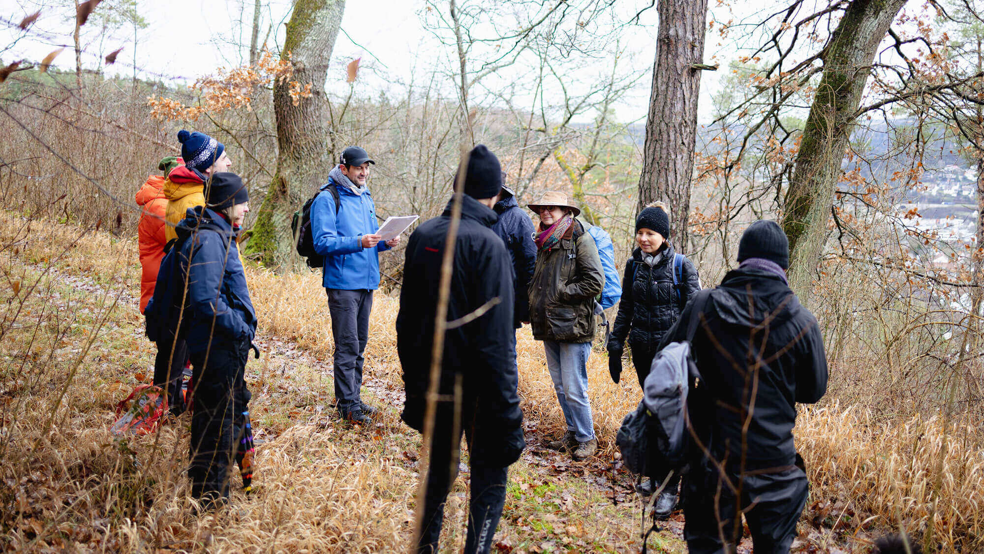 Website Thomas Bühler