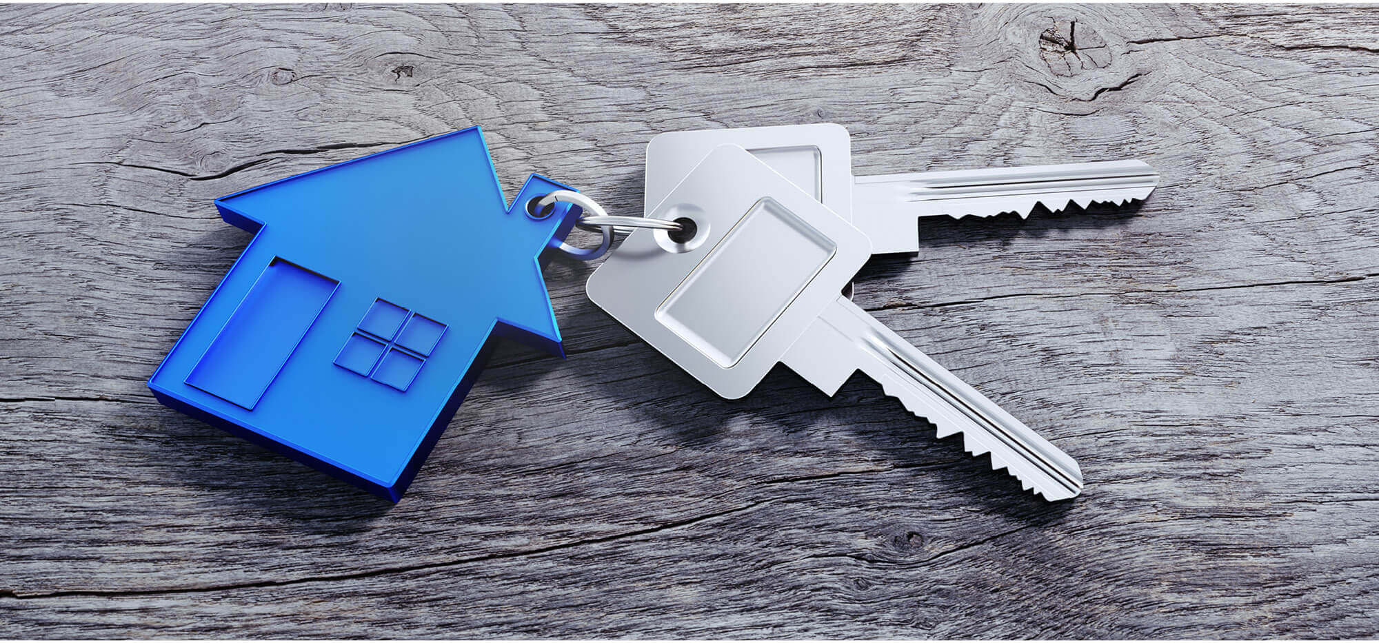 Logo Immobilien Martin