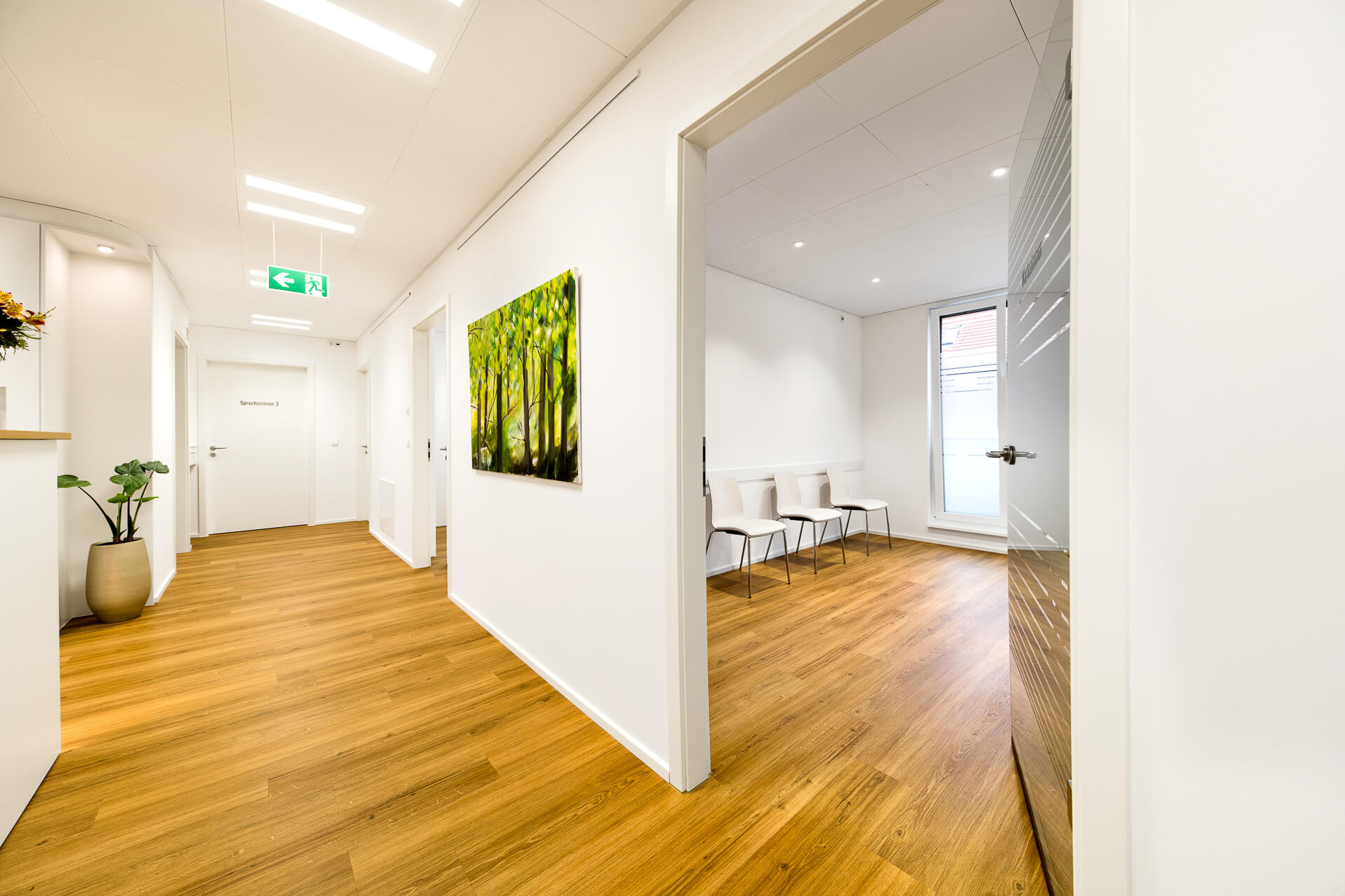 Website Dr. Andrea Schieber