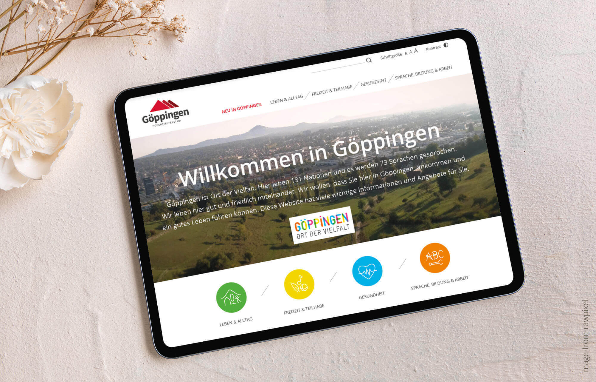 Website Neu in Göppingen