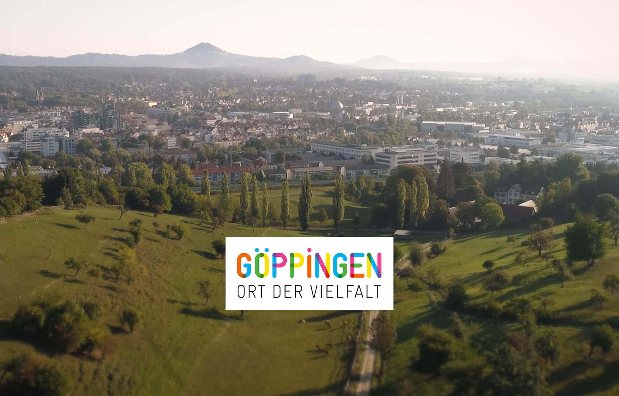 Website Neu in Göppingen