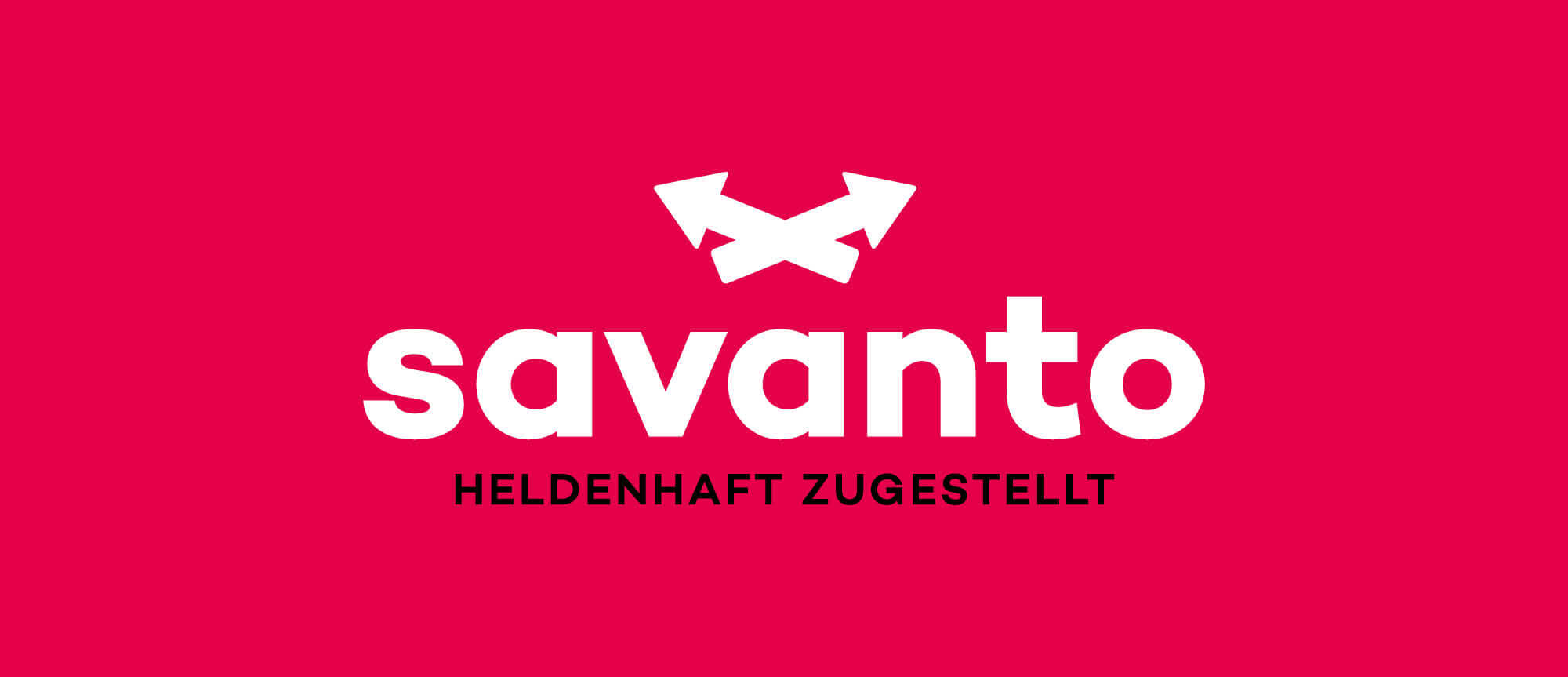 Website Savanto